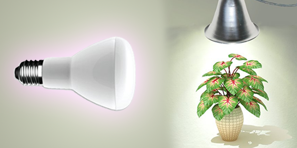 Facts About Plant Light Bulbs Uncovered