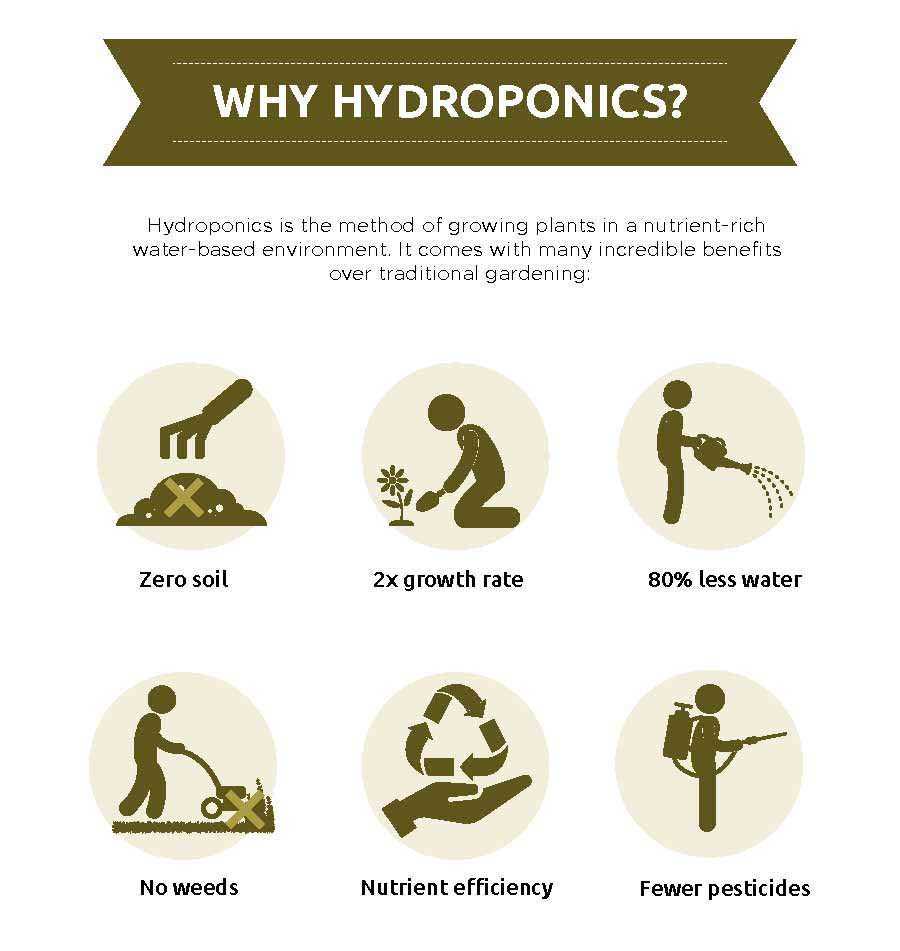 Benefits of Hydroponic Garden