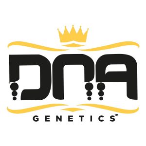 DNA Genetic Seeds