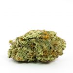 Girl Scout Cookies Weed Strains (GSC Strain) Reviews | Strain Information