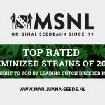 MSNL Seeds Banks Reviews | Original SeedBank SINCE ’99