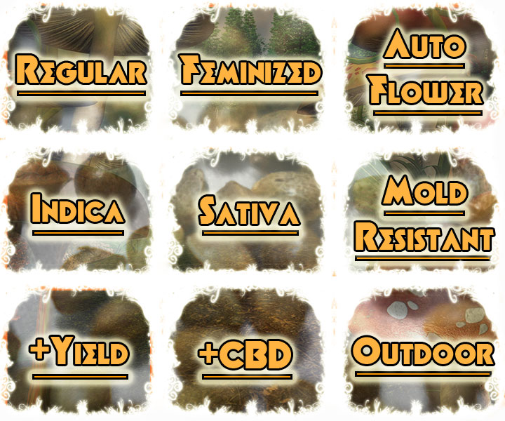 Select the seed strains