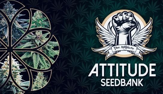 attitude-seed-bank-reviews