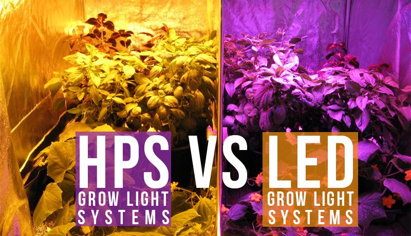 led grow lights vs hps