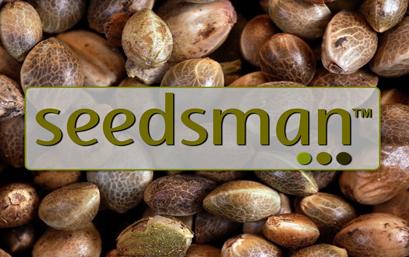 Seed's. Seedsman Seeds. Seed Banks. Seedsman основатель. Seedsman logo.