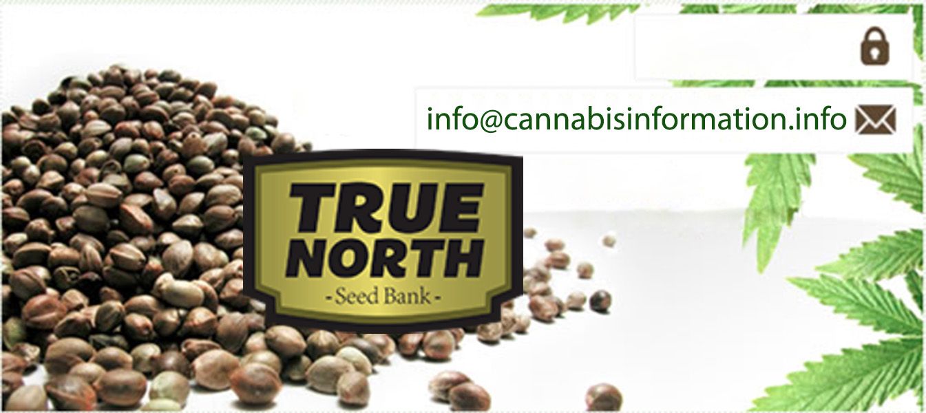 true north seed bank 2