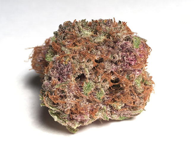 Strawberry Cough marijuana strain