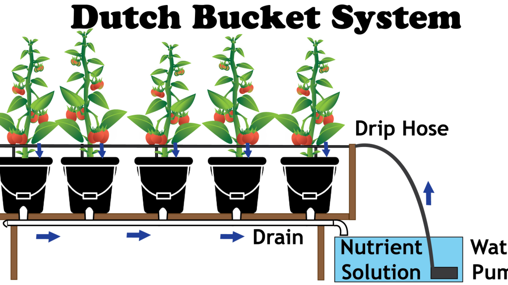 dutch-bucket-system