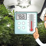Grow Room Temperature Controller-Marijuana Growing Temperature