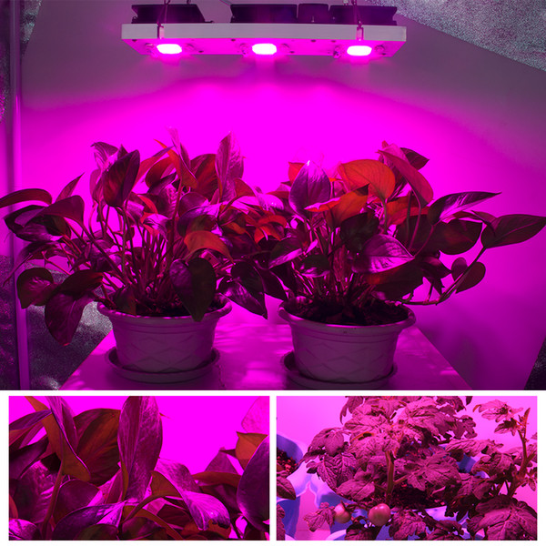 200w led grow light