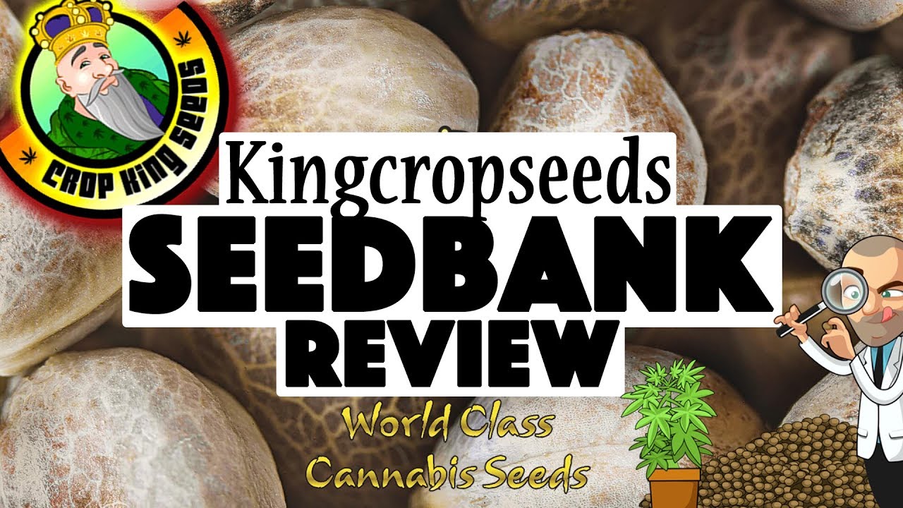 Crop King Seeds bank review