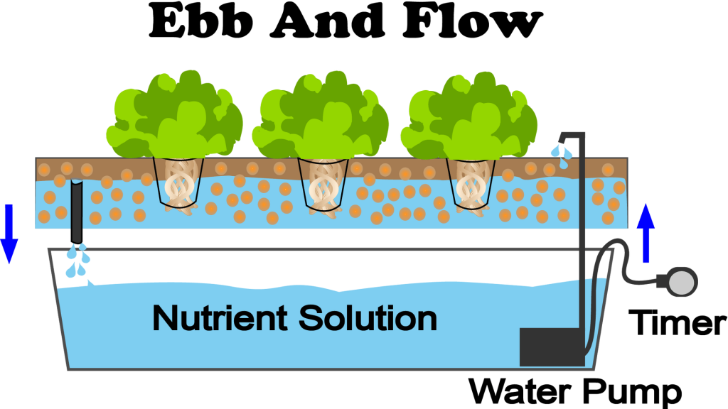 Ebb and Flow Hydroponics