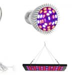 Best Cheap LED Grow Lights For Growing Indoor Plants