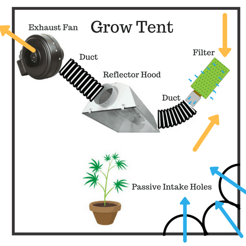 Grow Tent Ventilation Setup How To Setup An Exhaust