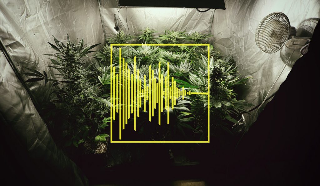 silencing grow room