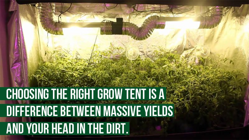 size of your grow tent