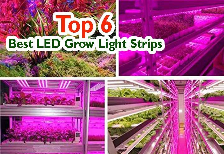 LED-Grow-Light-Strips