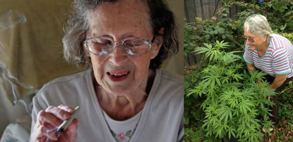 cannabis-alzheimer