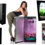 3 Best Grow Box for Beginners Review