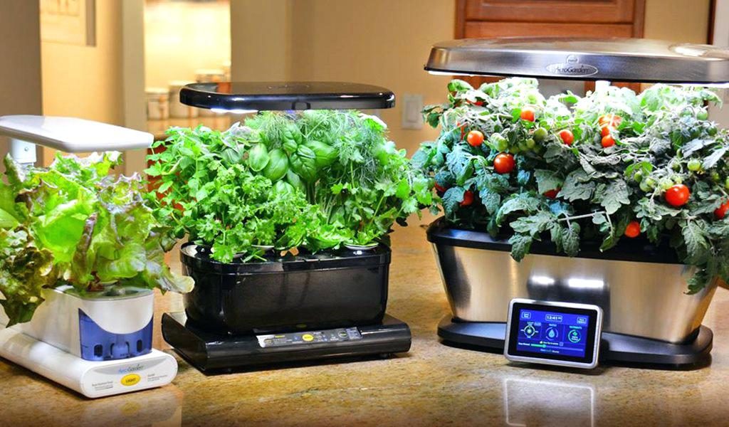 Aerogarden