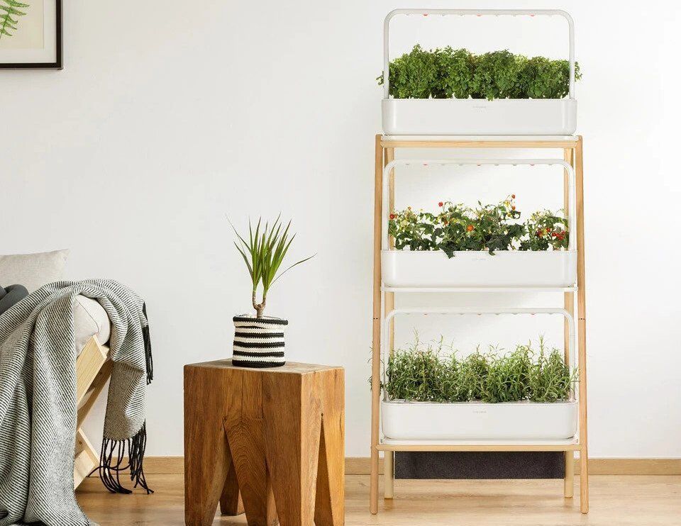 Click-and-Grow-Smart-Garden-27