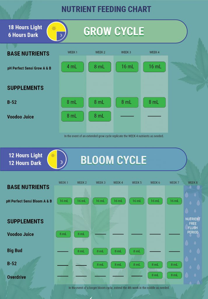 Trainwreck-growing-tips