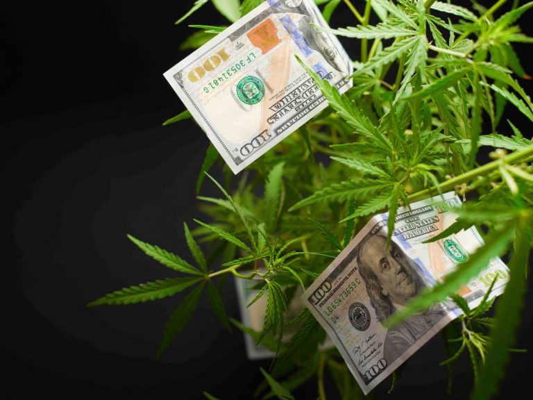 Grow Room Cost CalculatorHow Much Does It Cost To Grow Weed
