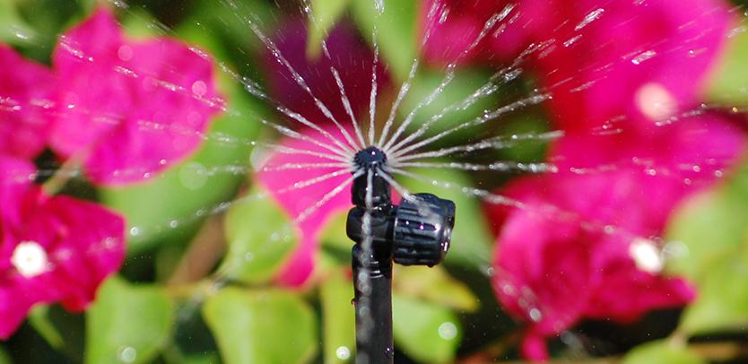 Micro-Spray Sprinklers