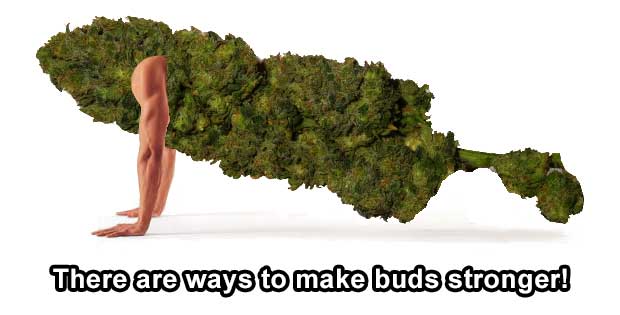 how to make your weed stronger