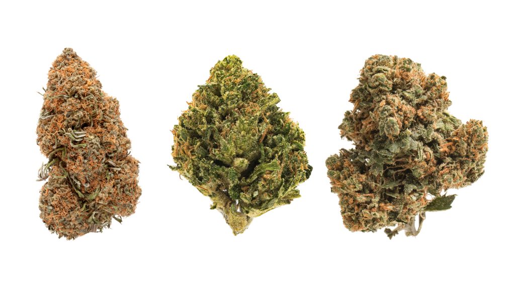 high CBD weed strains