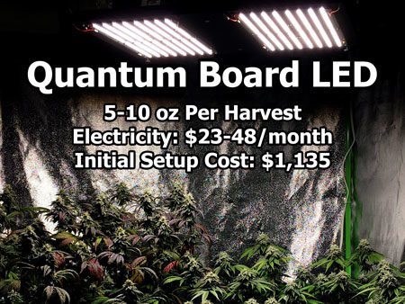 Quantum Board LED Grow Lights