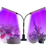 Best Uv Light For Growing Weed