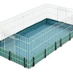 Best Cages For Guinea Pigs