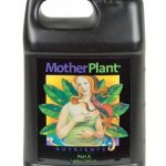 Best Nutrients For Mother Plants