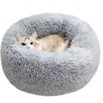 Best Cat Bed