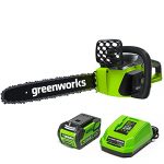 Best Rated Battery Chainsaw