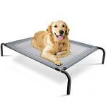 Best Indestructible Dog Bed