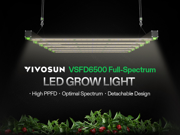 VSFD6500 Full Spectrum LED Grow Light Bar 650W-2